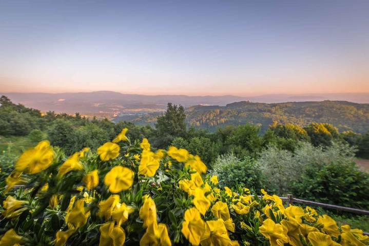 Location de vacances pour 4 personnes, avec jardin et sauna dans Novo mesto - 2