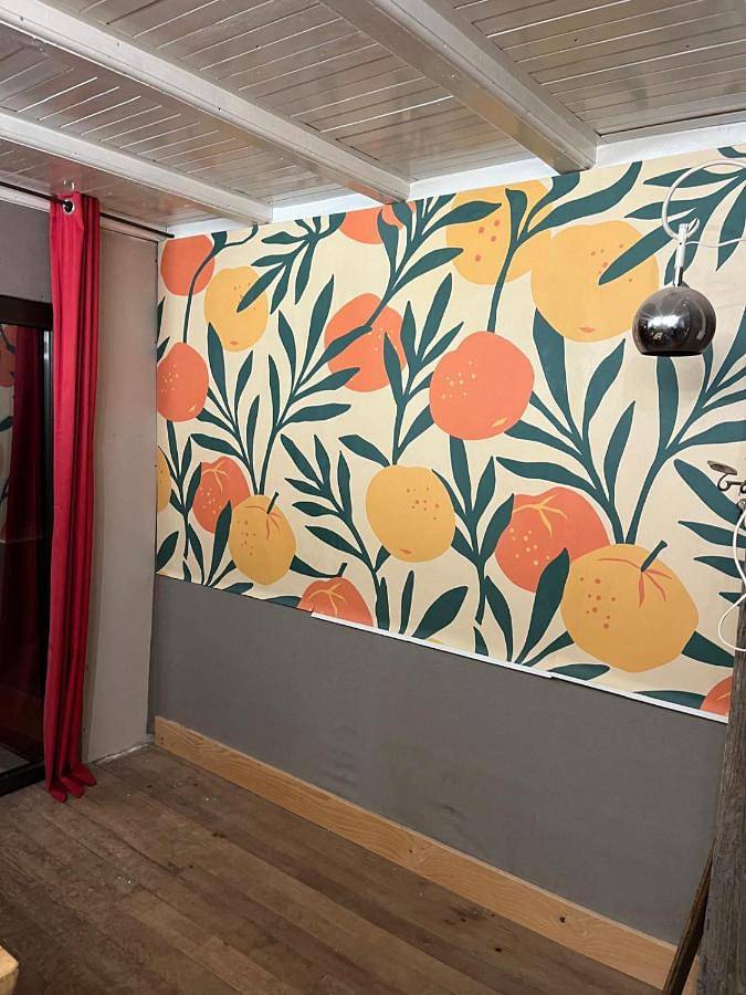 Gîte pour 4 personnes, avec jardin ainsi que vue et terrasse, animaux acceptés à Grande-Rivière - 4