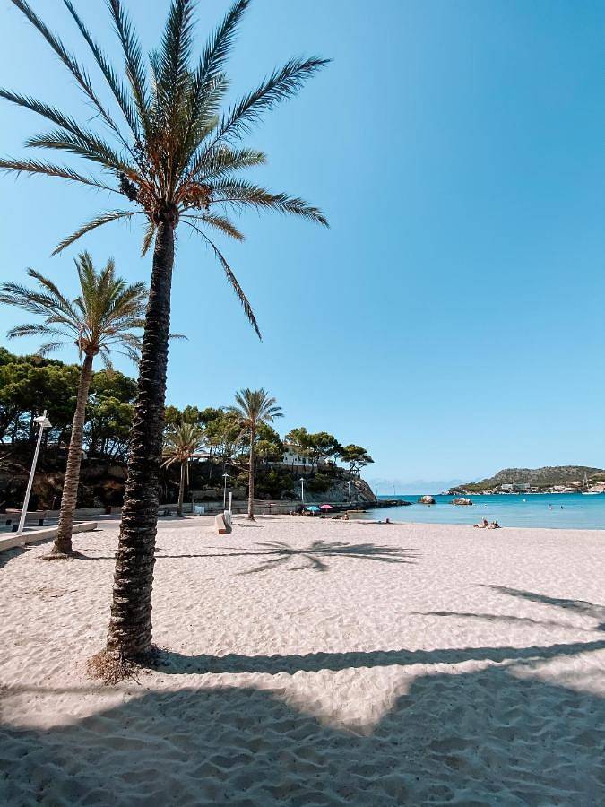Hôtel pour 2 personnes, avec vue ainsi que terrasse et piscine, animaux acceptés à Peguera - 3