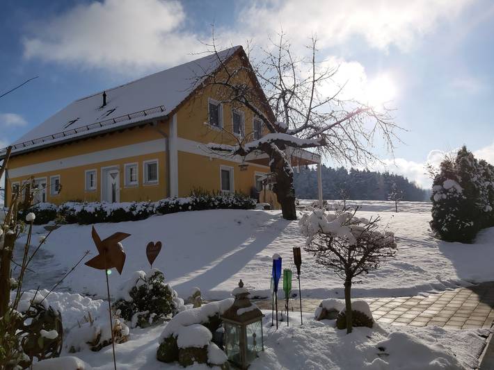 Ferienwohnung für 8 Personen, mit Balkon/Terrasse und Balkon sowie Terrasse und Garten in Naturpark Oberpfälzer Wald - 3