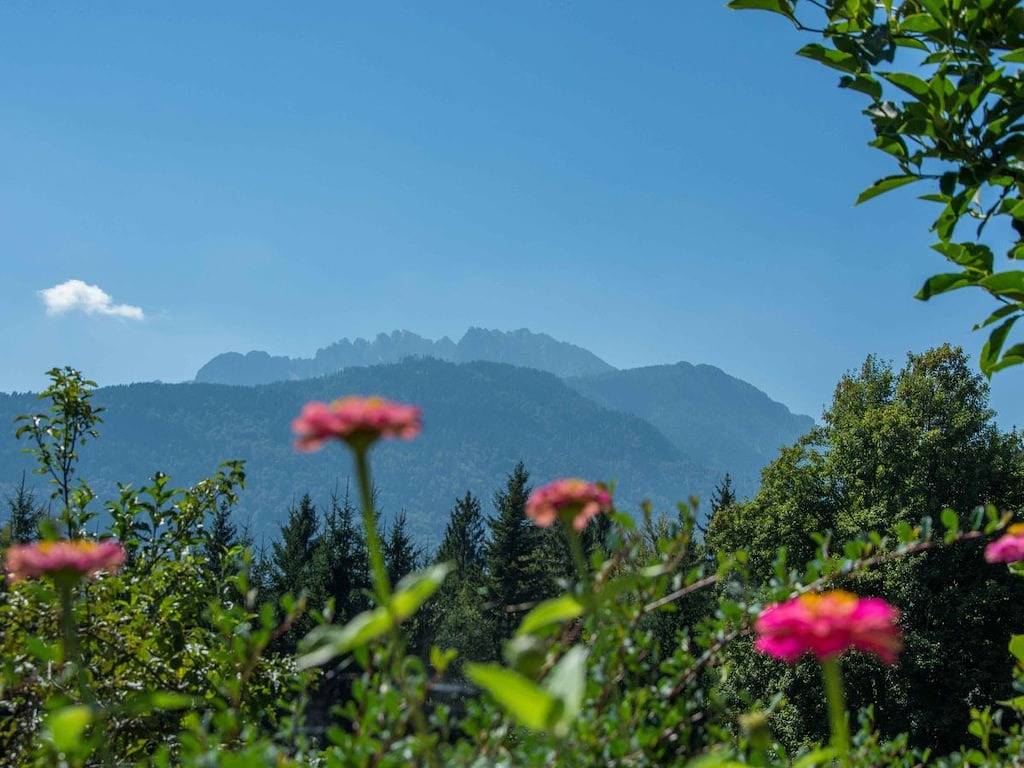 Wohnung in Hermagor mit Schwimmbecken in Hermagor, Hermagor-Pressegger See