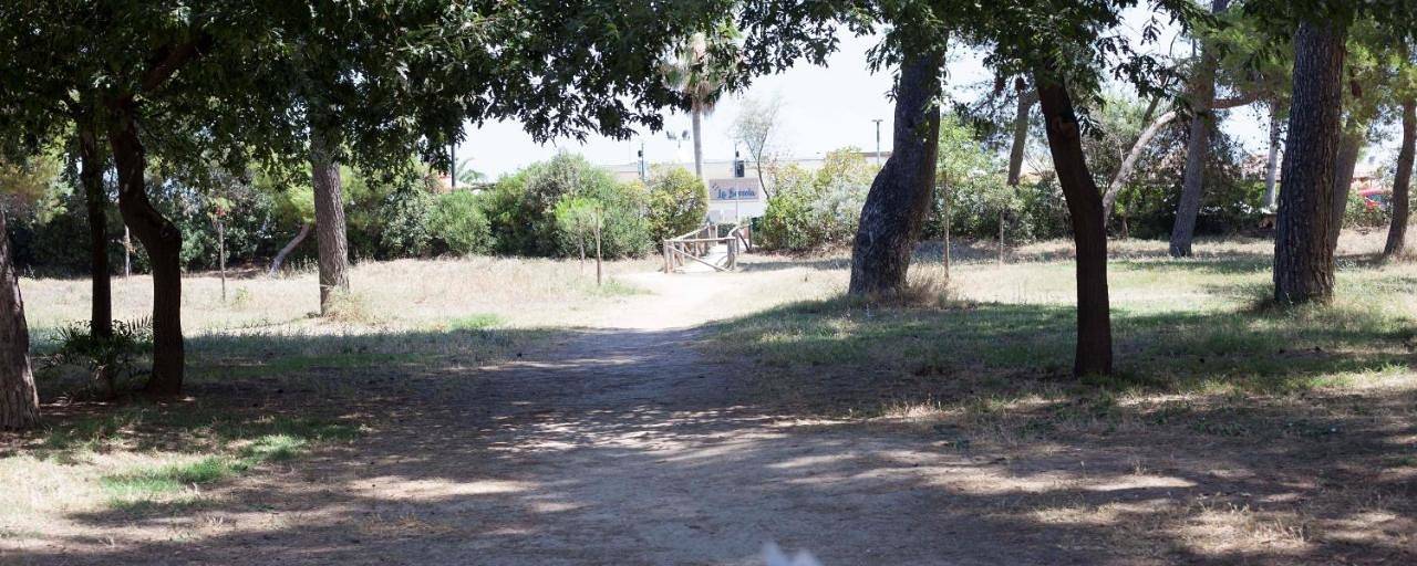 Double Room with Shared Bathroom in Lido La Conchiglia Azzurra, Montesilvano