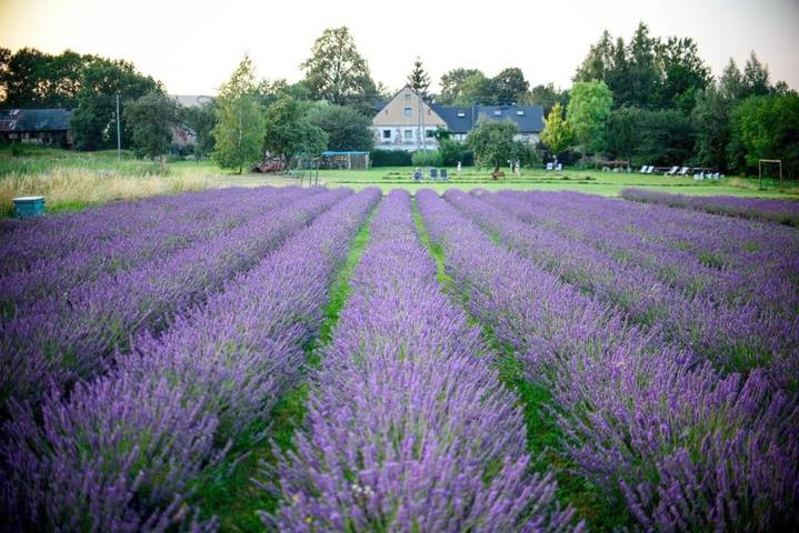 Domek letniskowy dla 4 osób, z ogród na Dolny Śląsk
