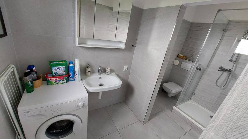 Gîte pour 3 personnes, avec vue ainsi que vue sur le lac et jardin, animaux acceptés à Plzeň - 2