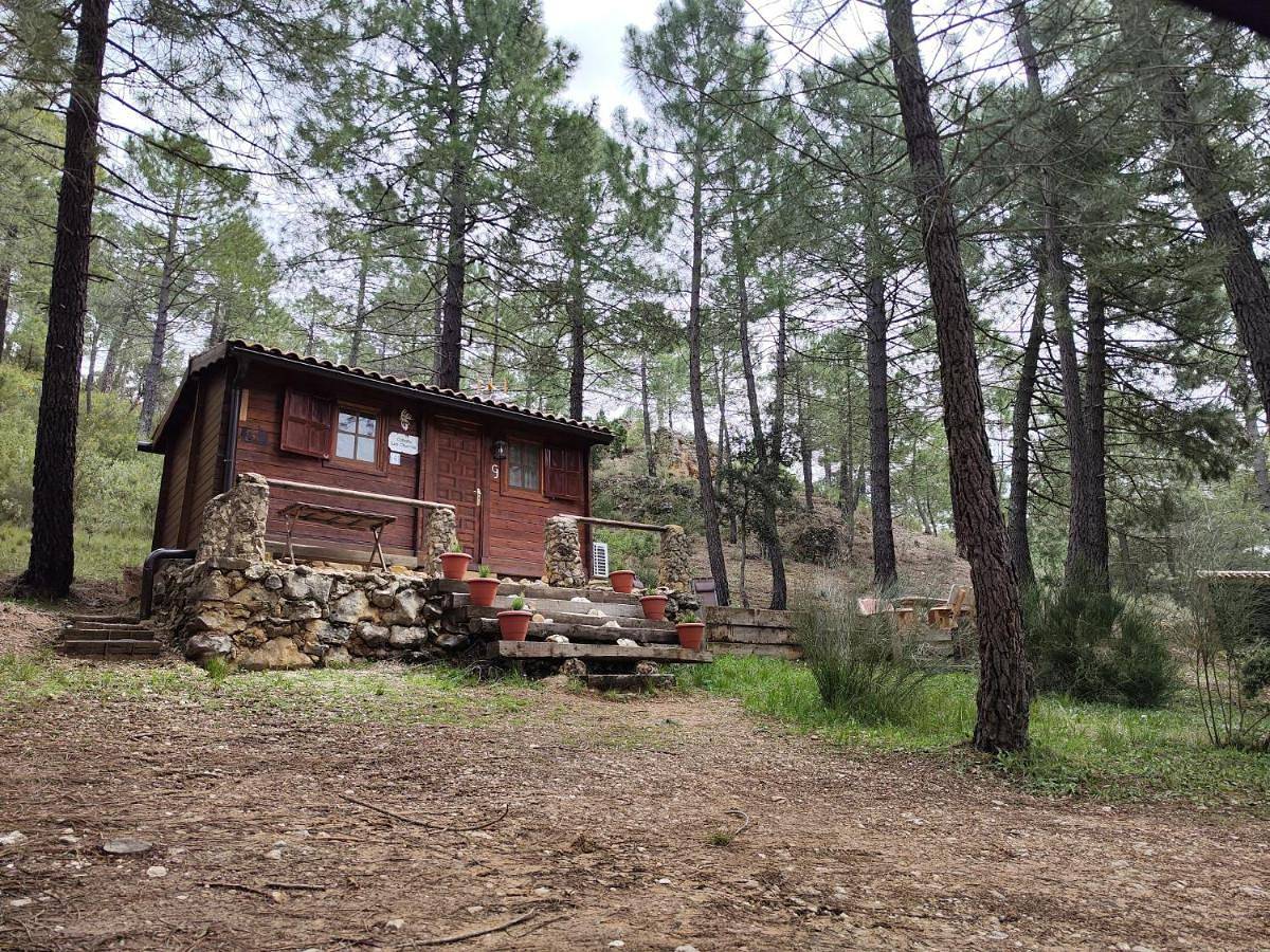 One-Bedroom House in Riopar (rio Mundo), Riópar