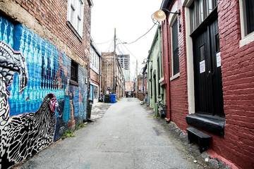 Loft for 2 Guests in Asheville, Blue Ridge Mountains, Picture 1