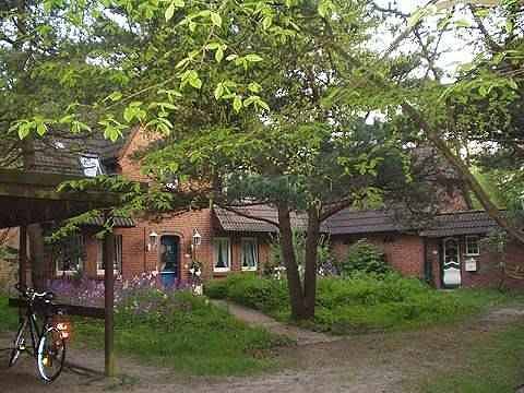 Ferienwohnung für 4 Personen, mit Sauna und Garten, mit Haustier in Nebel - 2