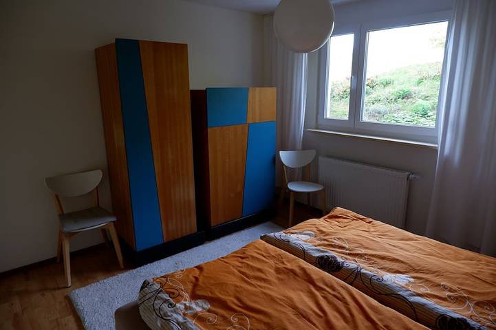 Ganze Wohnung, Ruhige Ferienwohnung im Südschwarzwald, 10 Minuten von St. Blasien entfernt in Dachsberg, Südschwarzwald