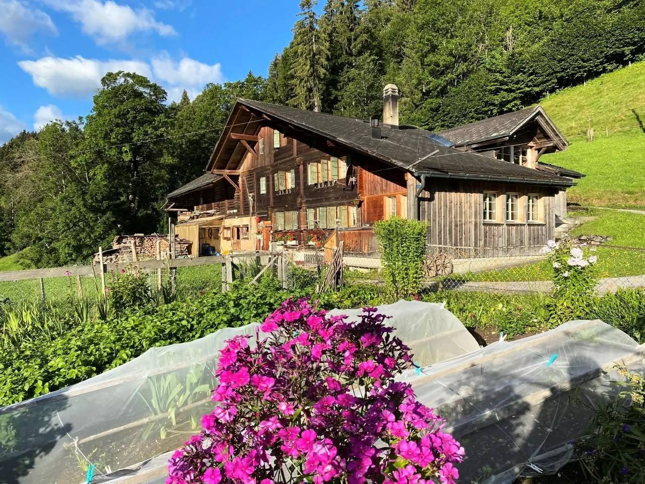 Huis 6 Personen in Saanenmöser, Zweisimmen