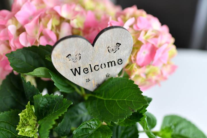 Ferienwohnung für 5 Personen, mit Balkon und Seeblick in Bodolz - 2