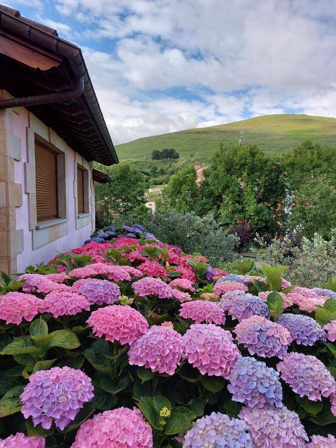 Casa rural para 2 personas, con vistas y jardín en Valle del Nansa - 2