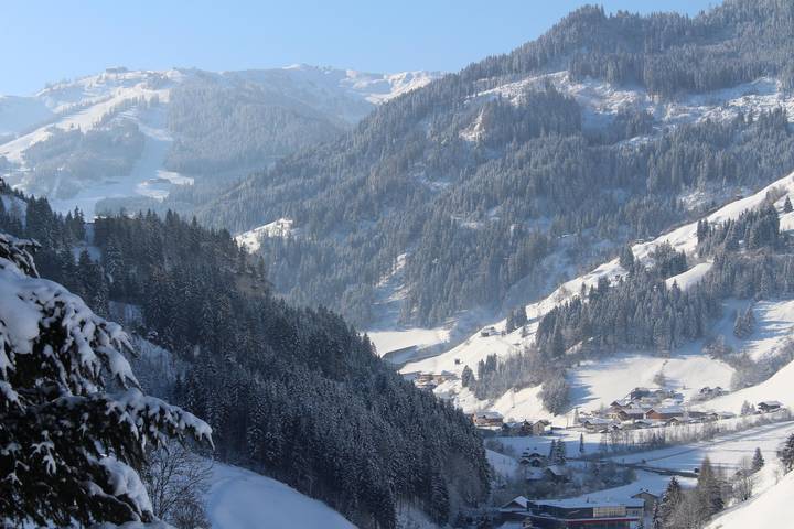 Ferienwohnung für 3 Personen, mit Sauna und Garten, kinderfreundlich in Großarl - 3