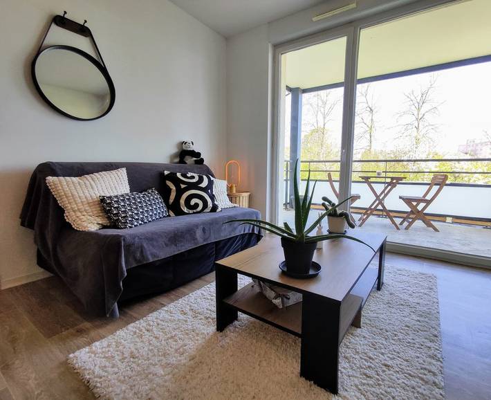 Entire apartment, Le Salluste: T2 cosy with balcony in Strasbourg. in Strasbourg, Strasbourg region
