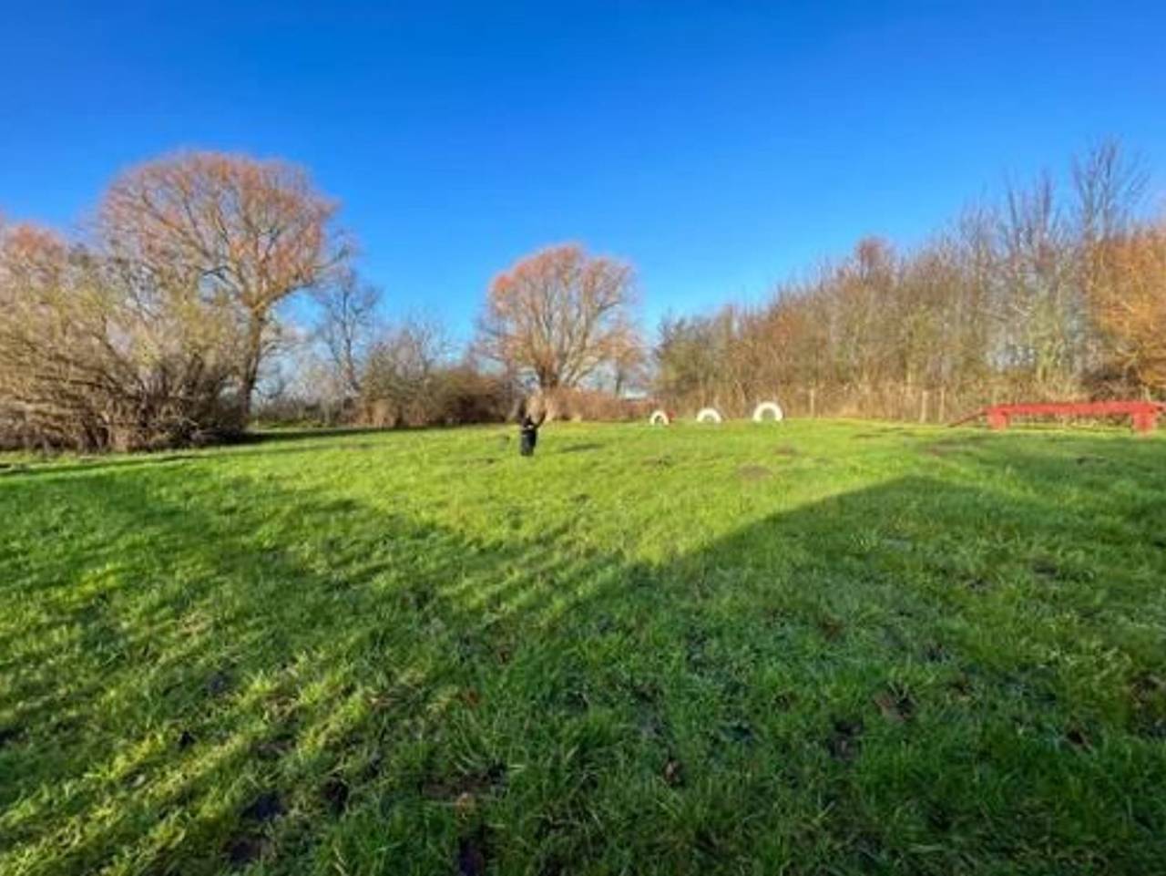 Ganze Ferienwohnung, Ferienwohnungen Rügen mit Hund - Fewo 2- 1.Og in Schaprode, Rügen