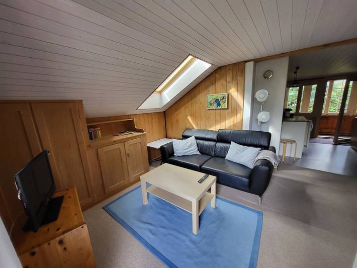 Ganze Wohnung, Wildbach in Lenk im Simmental, Lenk