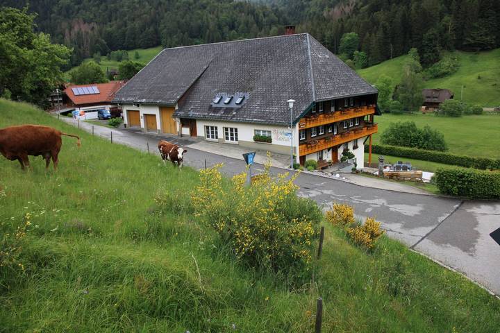 Ferienwohnung für 4 Personen, mit Balkon und Garten in Todtmoos - 3