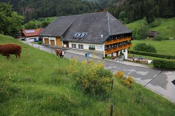 Ferienwohnung für 4 Personen in Todtmoos - Hintertodtmoos, Todtmoos, Bild 2
