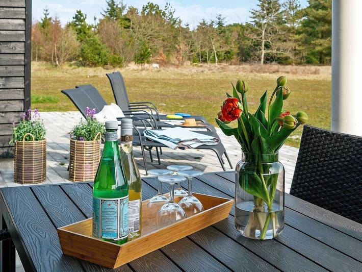 Ferieudlejning for 18 personer, med Jacuzzi og Terrasse såvel som Pool og Sauna i Ålbæk