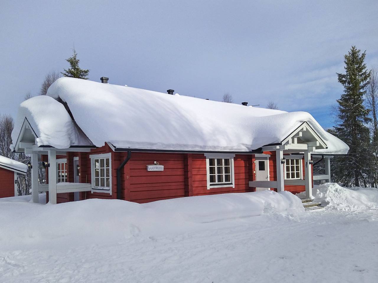 Vuonkuma in Kaulavaara, Lappland