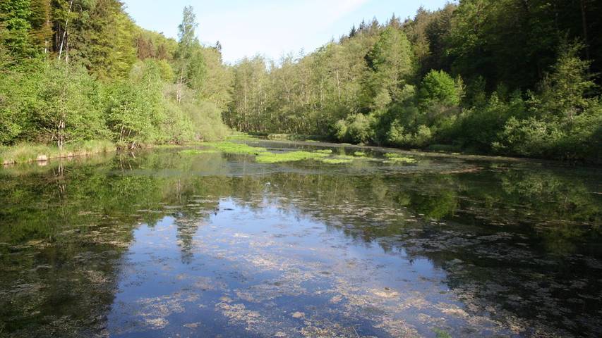 Ferienwohnung für 2 Personen, mit Terrasse im Pfälzer Wald