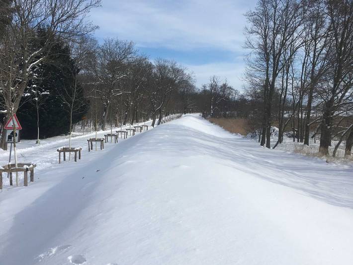 Ferienwohnung für 3 Personen, mit Garten und Sauna sowie Seeblick in Nationalpark Vorpommersche Boddenlandschaft
