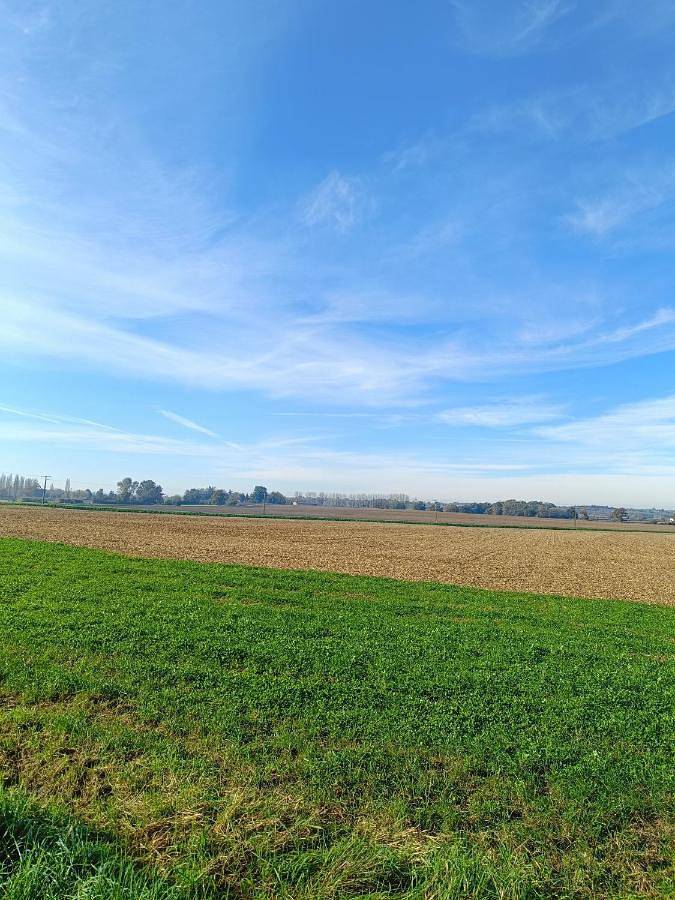Location de vacances pour 2 personnes, avec terrasse et jardin à Boucé - 3