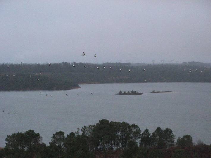 Location de vacances pour 4 personnes, avec jardin et vue dans Morcenx-la-Nouvelle - 3