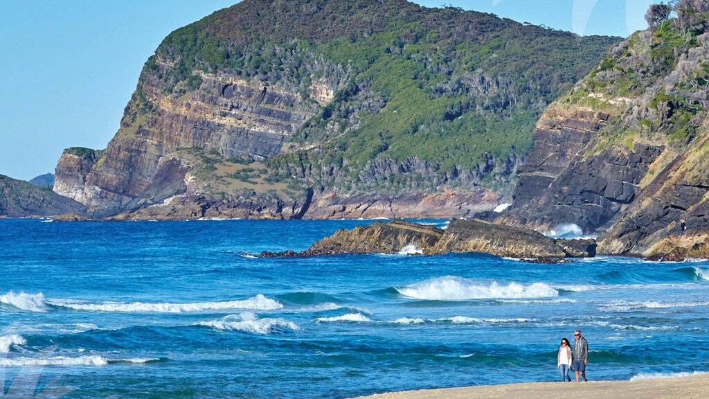 Ganze Wohnung, Blue Pacific - Pacific Palms Feiertage in Boomerang Beach, New South Wales