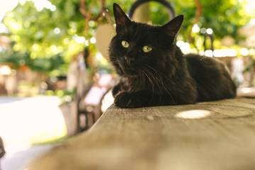 Bauernhof für 8 Personen in Salem, Oberschwaben, Bild 2