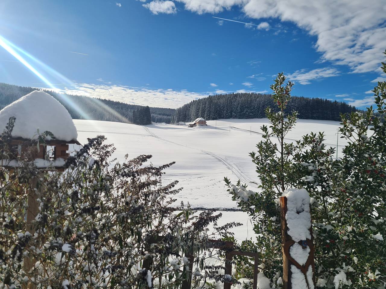 Entire holiday apartment, Ferienwohnung Bergblick, 48qm, 2 Schlafzimmer, max. 4 Personen in Suedlicher Schwarzwald, Eisenbach