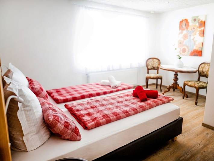 Gîte pour 14 personnes, avec jardin, animaux acceptés à Zell am Harmersbach - 2