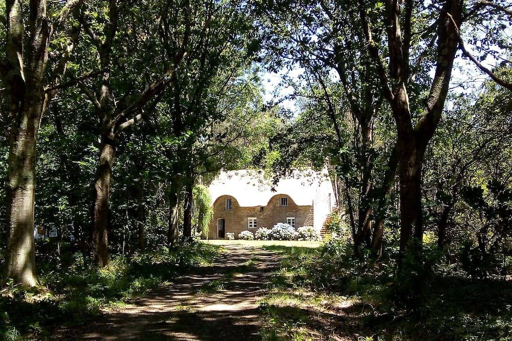 Seasonal rental of a Breton cottage in the heart of the forest in Theix, Côte des Mégalithes