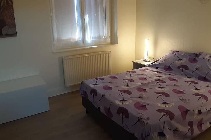 Gîte pour 7 personnes, avec jardin dans Saint-Hilaire-Saint-Mesmin - 3