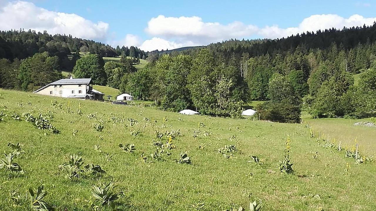 La Petite Echelle in Mouthe-Lac et Mont d’Or, Parc naturel régional du Haut-Jura