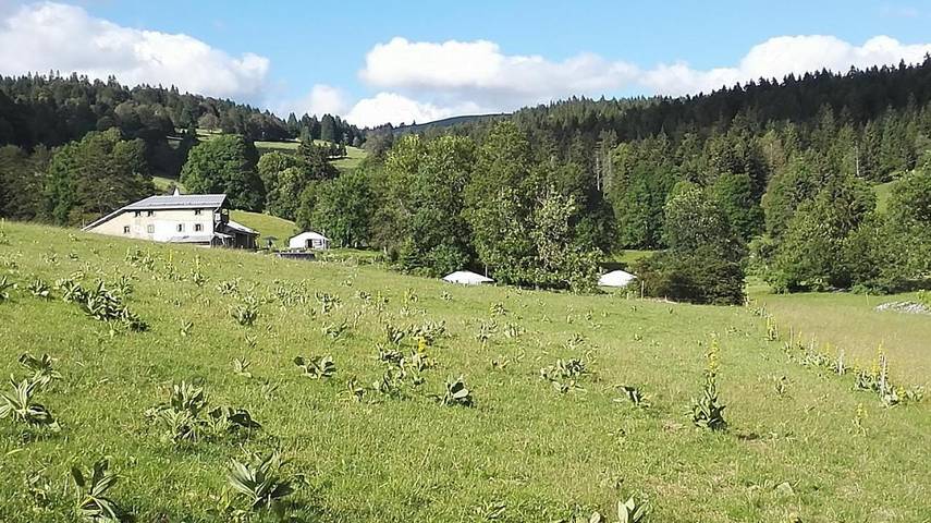 Camping, mit Terrasse und Ausblick am Doubs