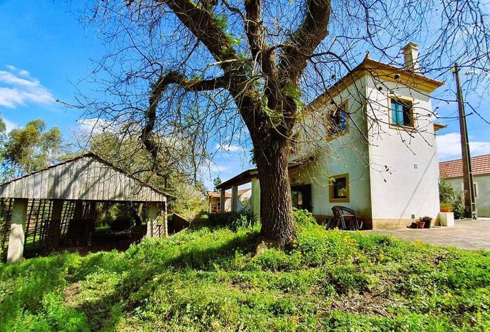 Location de vacances pour 7 personnes, animaux acceptés dans Pombal - 3