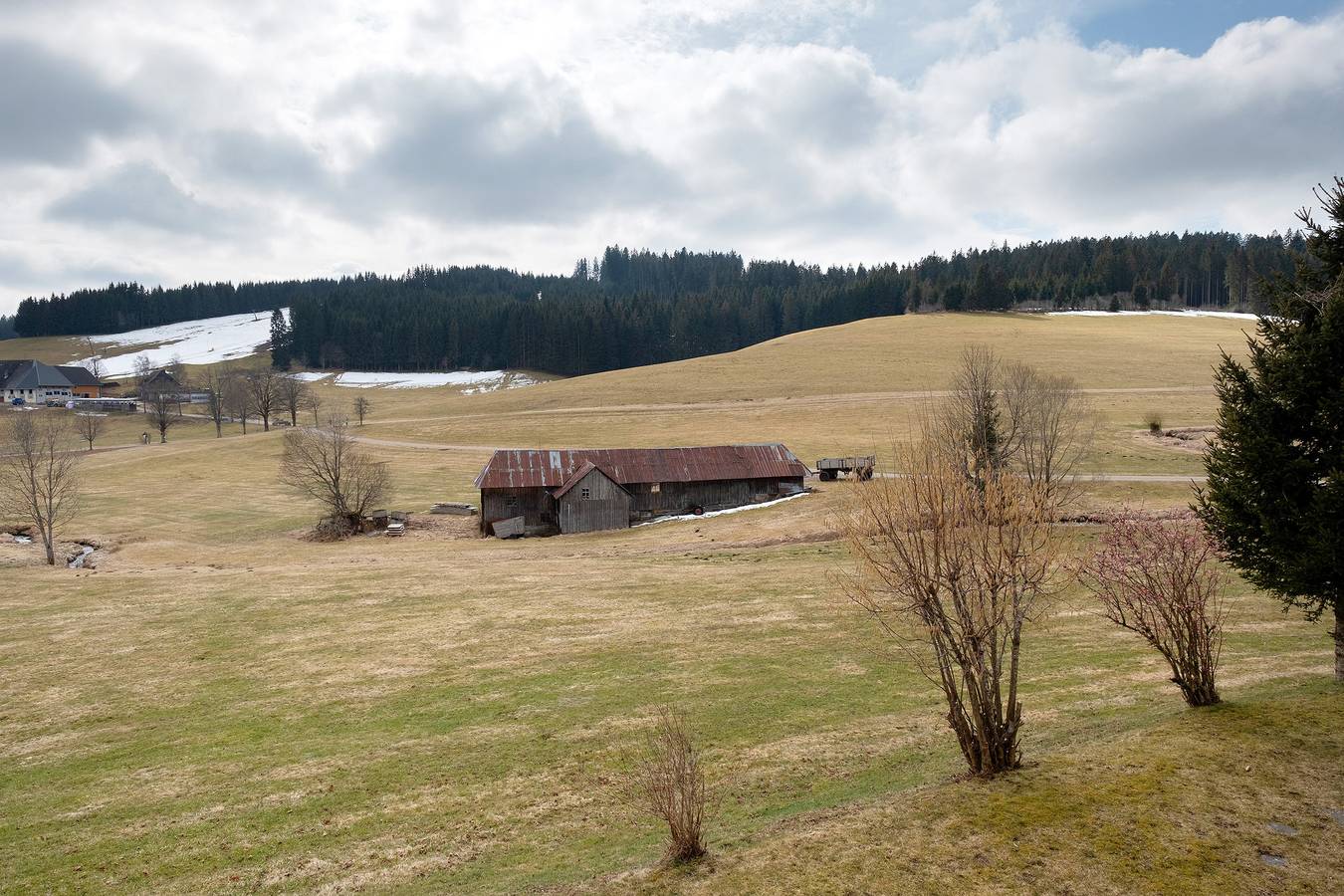 Ganze Wohnung, Ferienwohnung 'Panorama' mit Gemeinschaftsgarten, Balkon und Wi-Fi in Suedlicher Schwarzwald, Titisee-Neustadt