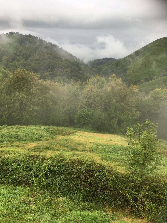 Cottage pour 2 personnes, avec vue et jardin à Tardets-Sorholus