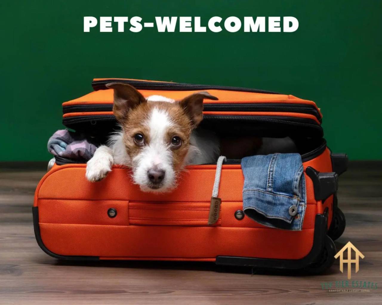 Rare Exclusive Retreat |Private Hot Tub | King Bed in Arlington, Tarrant County