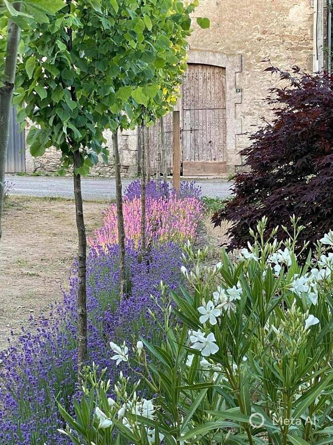 Location de vacances pour 2 personnes, avec vue et jardin à Arnac-la-Poste