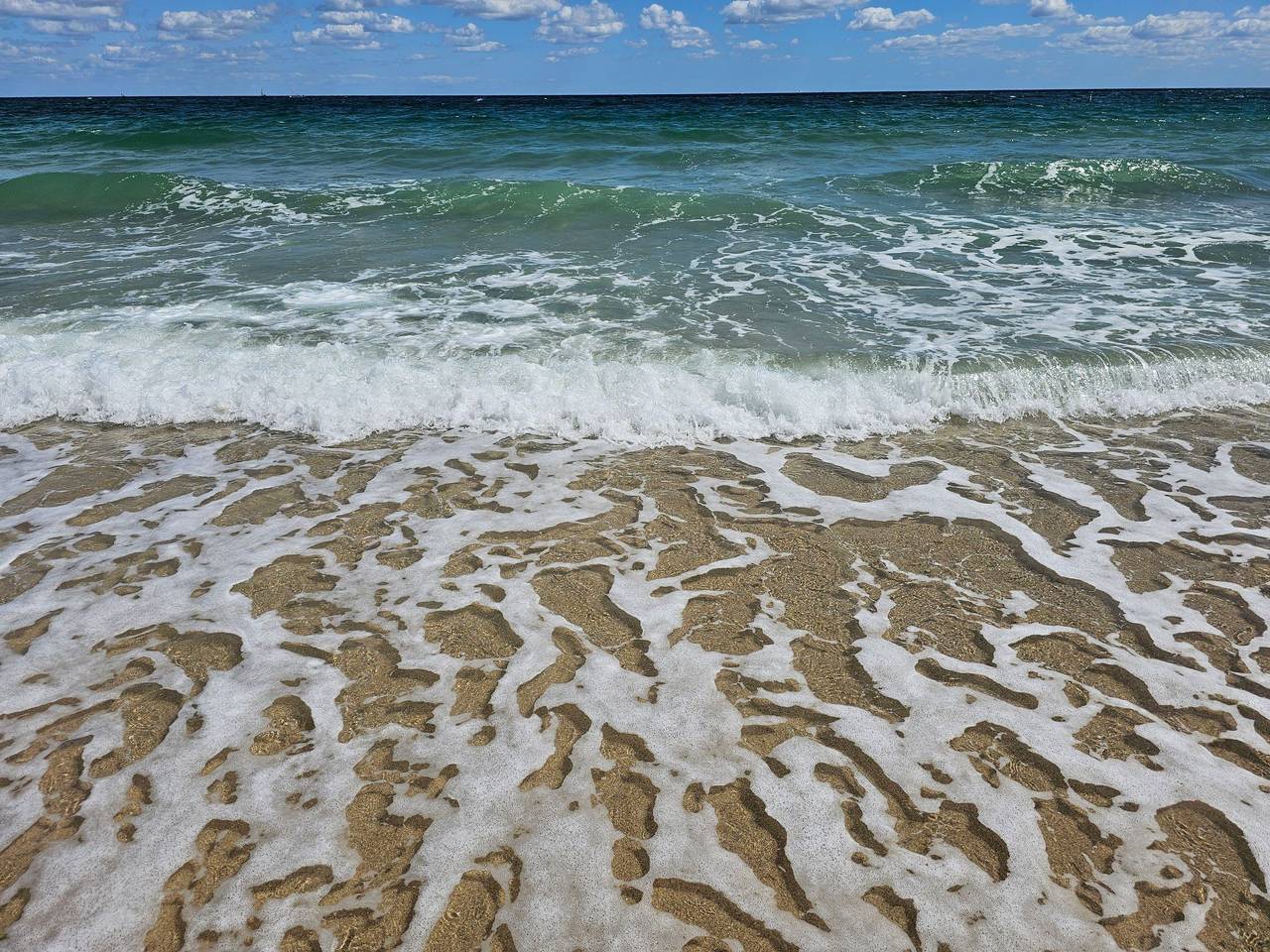 Apartamento vacacional entero, Apartamento de vacaciones para 2 personas con jardín in Fort Lauderdale, Broward County