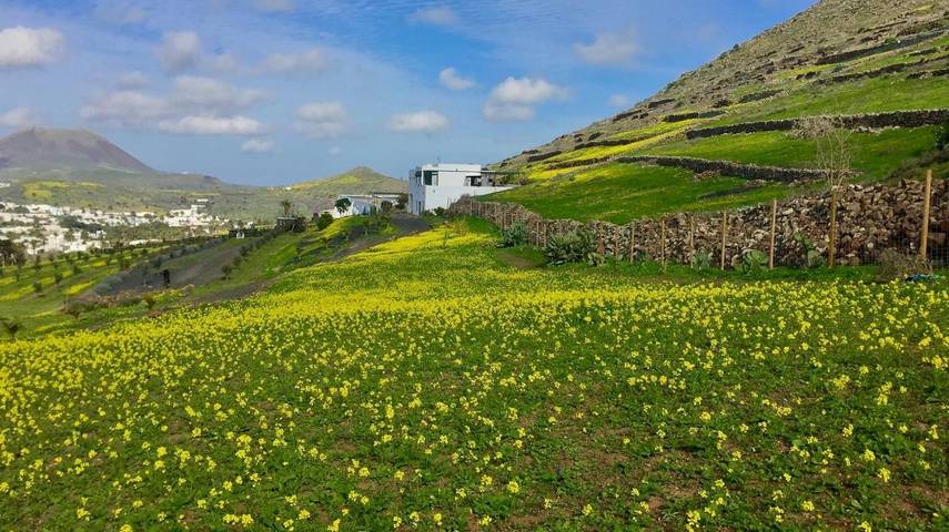 Casa rural para 4 personas, con vistas y jardín en Haría - 2