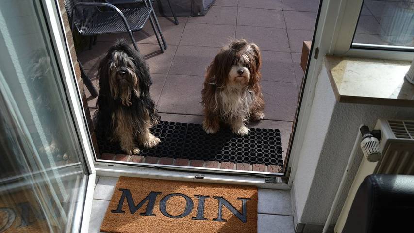Ferienhaus für 5 Personen, mit Terrasse und Garten, mit Haustier in Sahlenburg - 3