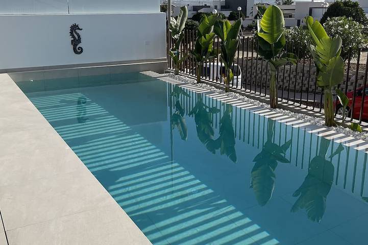 Villa pour 10 personnes, avec jardin, animaux acceptés à Rojales