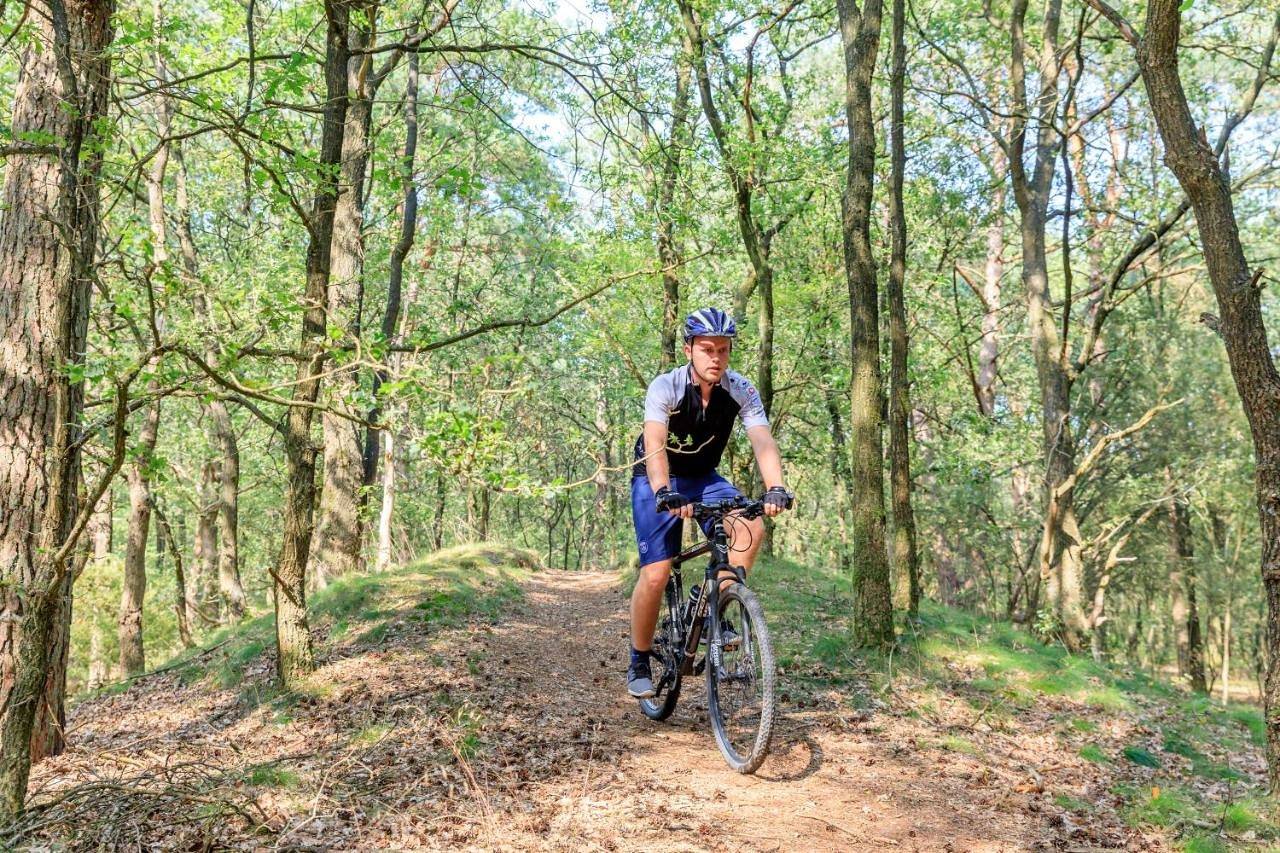 Rcn Vakantiepark de Noordster in Nationaal Park Dwingelderveld
