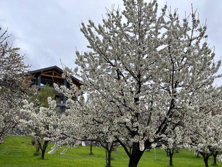 Location de vacances pour 2 personnes, avec jardin et vue ainsi que piscine et sauna à Comune di Saint-Pierre