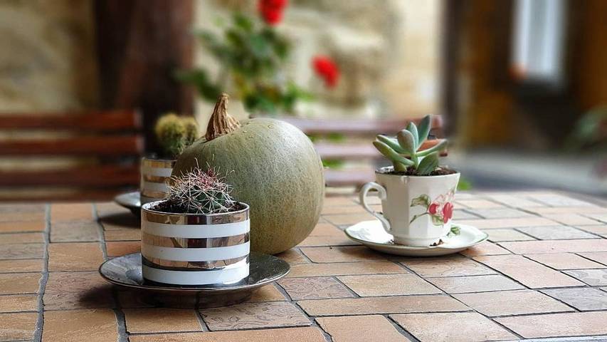 Apartamento de vacaciones para 5 personas, con terraza en Costa Occidental (Cantabria) - 3