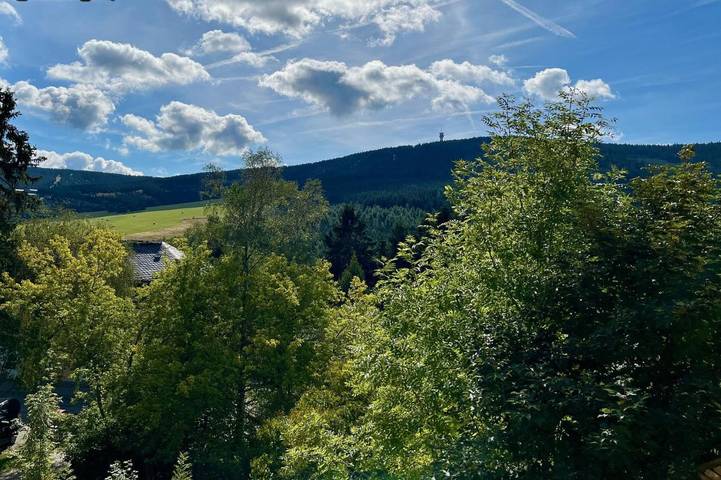 Hütte für 4 Personen, mit Ausblick im Erzgebirge - 3