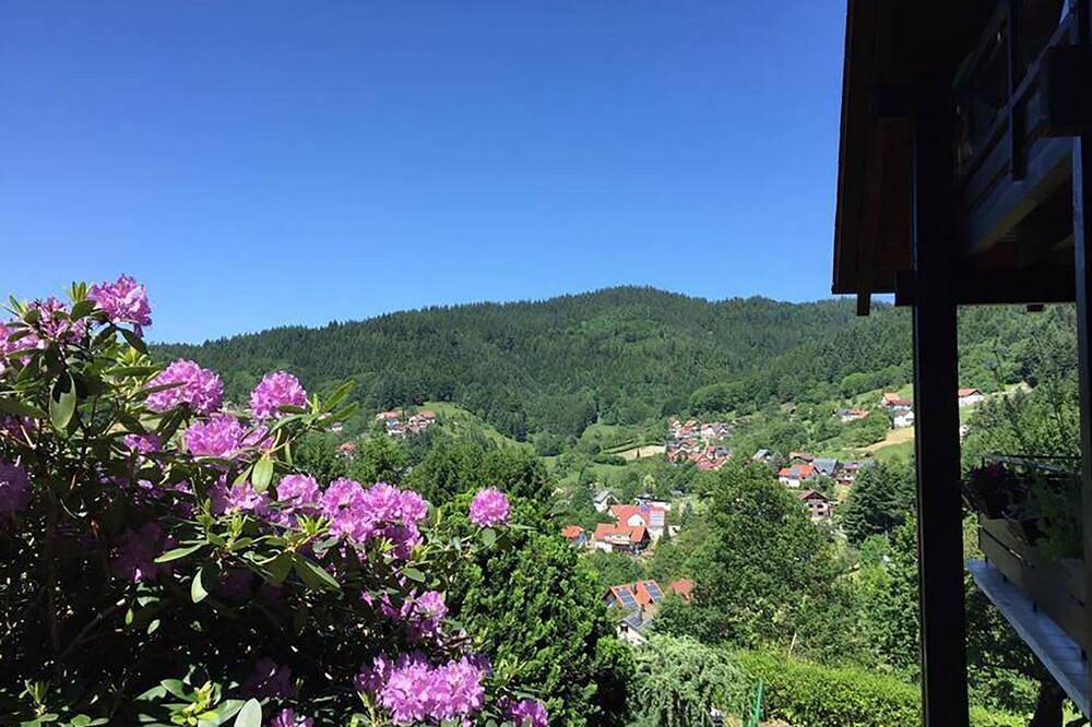 Apartamento inteiro, Black Forest Penthouse studio in a dream location with spectacular views in Buhlertal, Central Black Forest