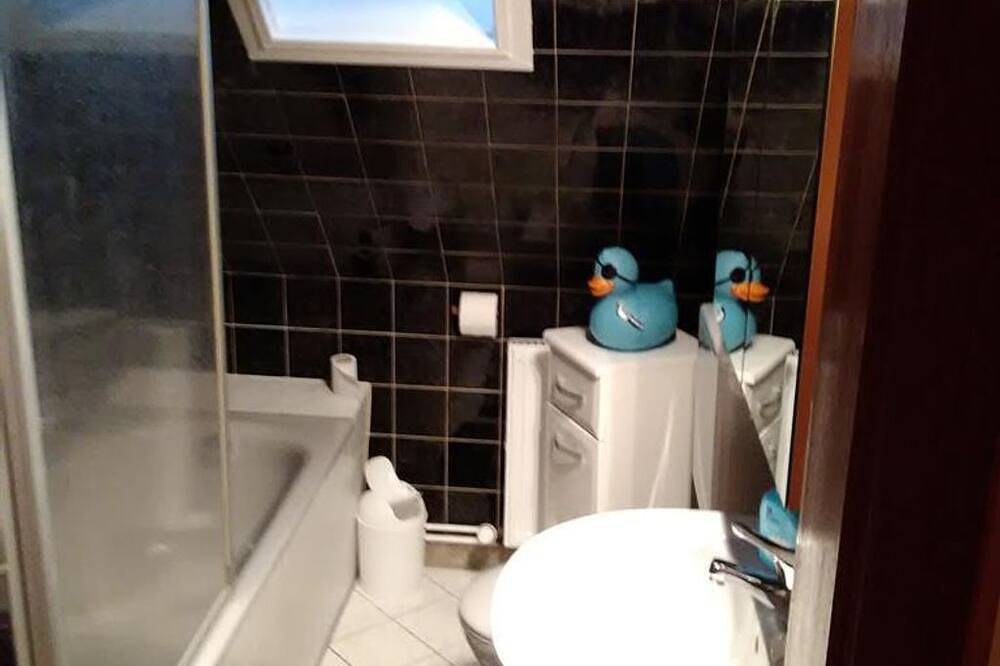 Ganze Wohnung, Ferienwohnung Winn - Appartement/Fewo, Dusche oder Bad, Wc, 1 Schlafrau in Bendorf, Osteifel